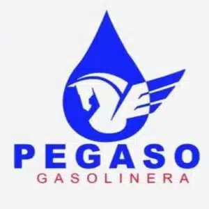 Facturacion Gasolinera PEGASO